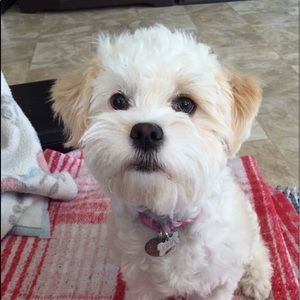 Meet your Posher, Donna